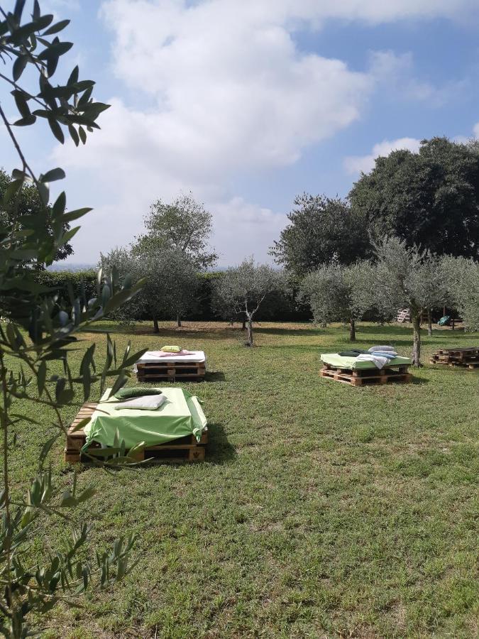 וולטה מנטובנה Pace, Luminosita E Comodita A Due Passi Dal Garda מראה חיצוני תמונה