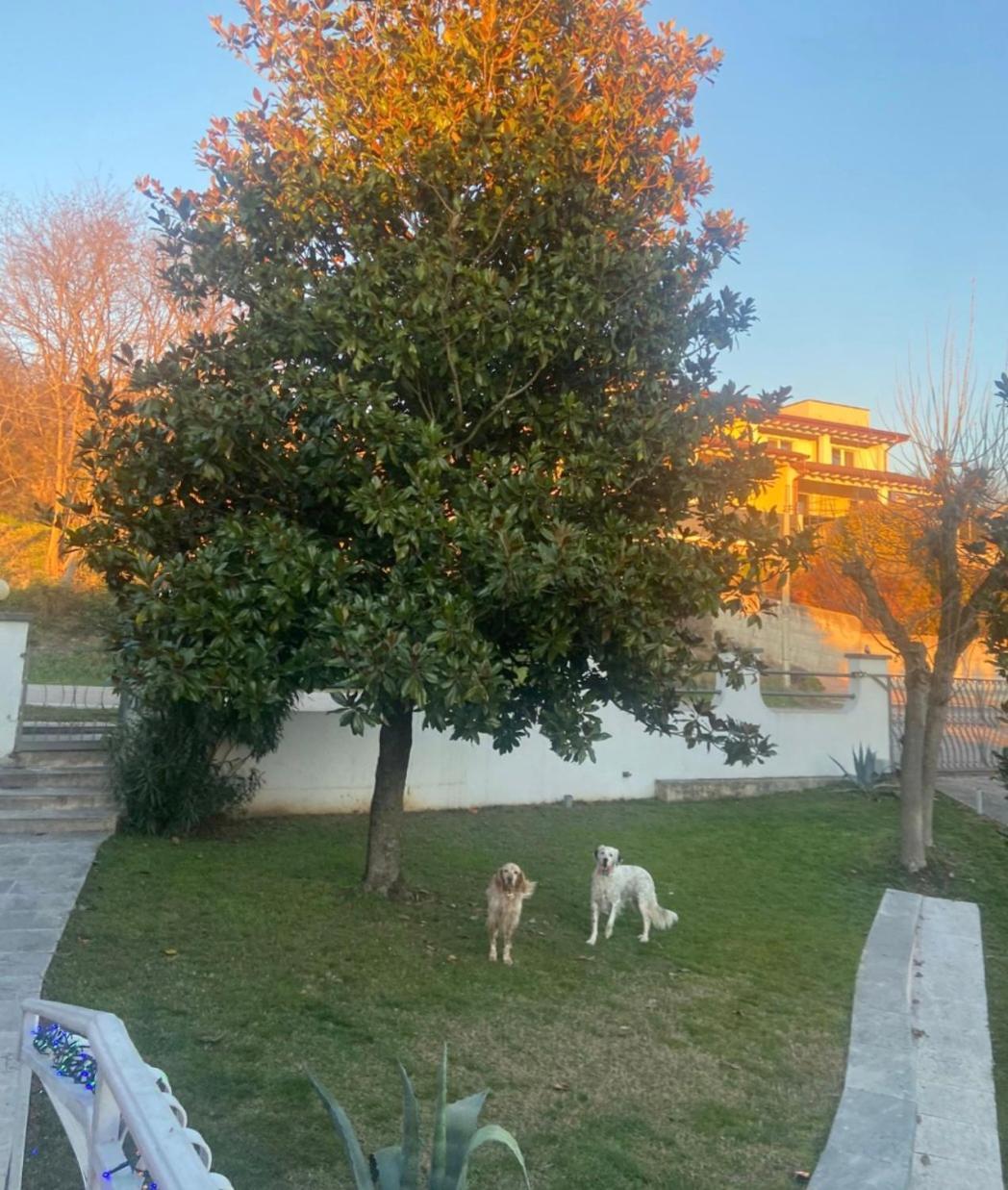וולטה מנטובנה Pace, Luminosita E Comodita A Due Passi Dal Garda חדר תמונה